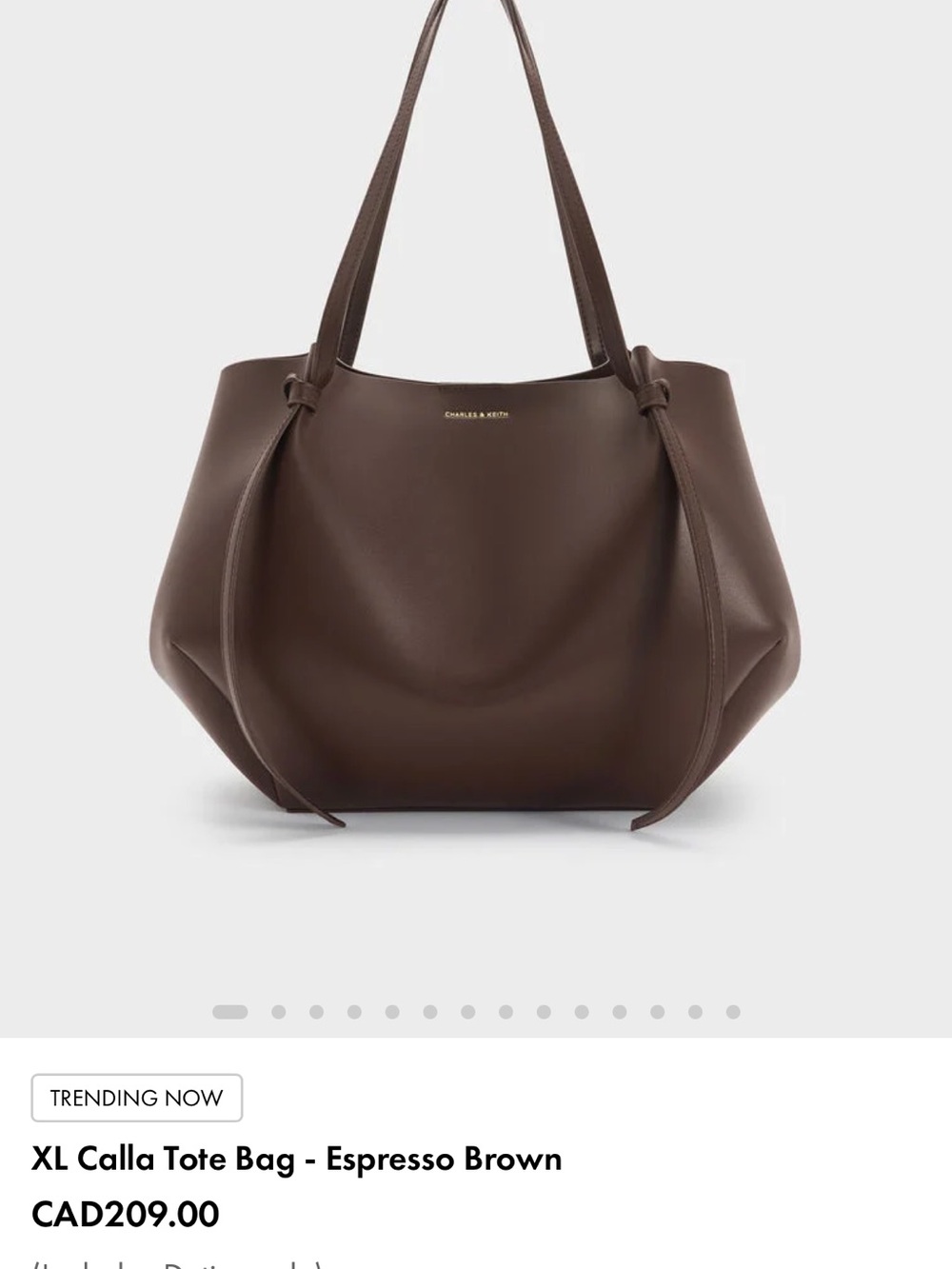 Charles & Keith Espresso Brown Large Tote